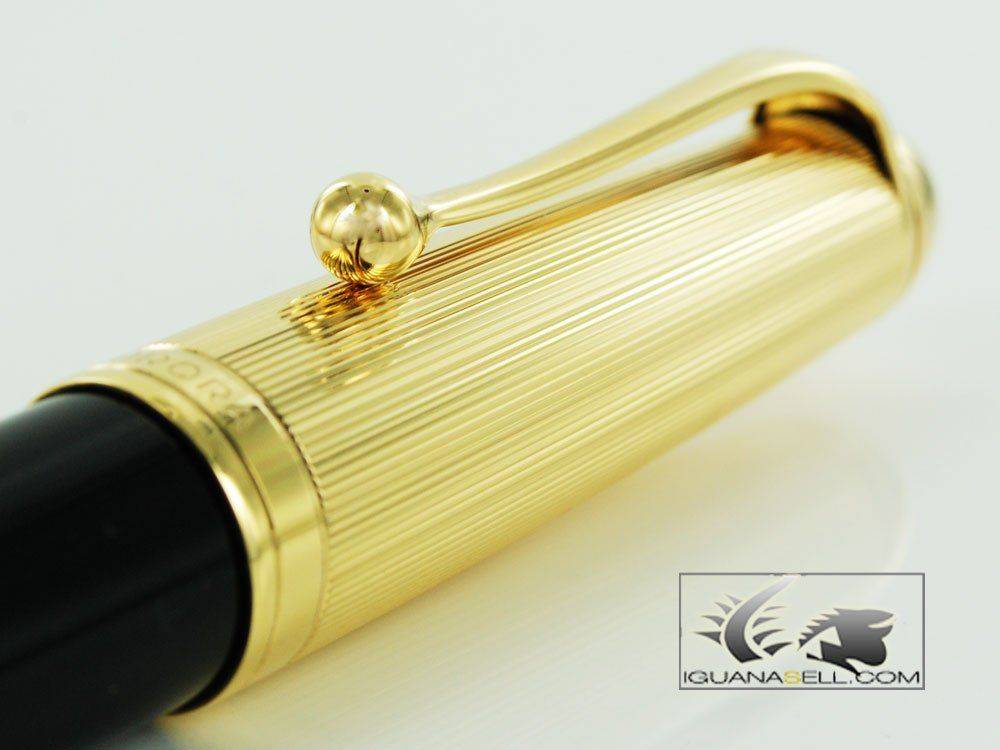 ain-Pen-88-Big-in-Resin-and-Gold-Plated-801-801M-3.jpg