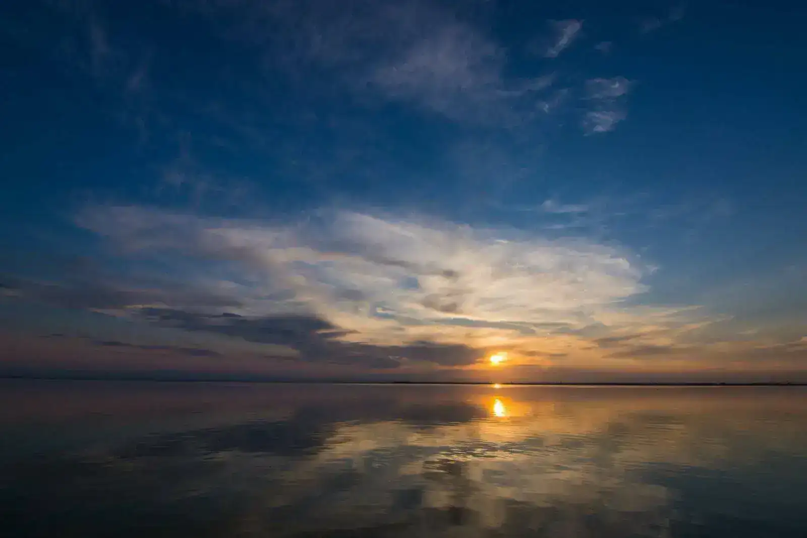 Albufera. -1-21.webp