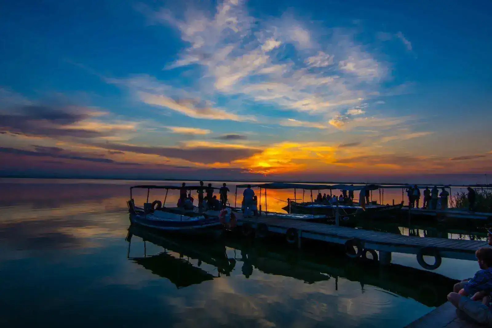 Albufera. -1-27.webp