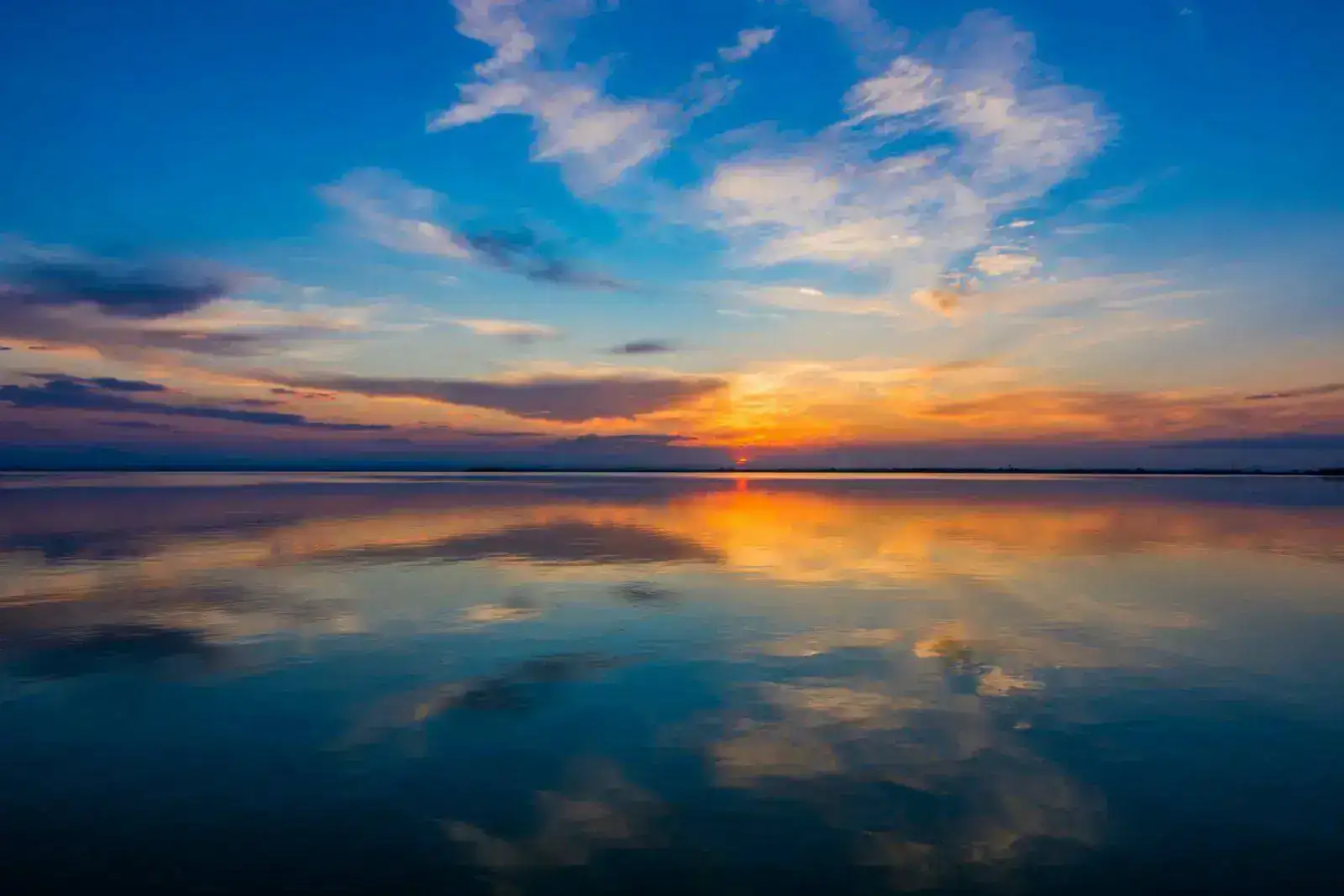 Albufera. -1-29.webp