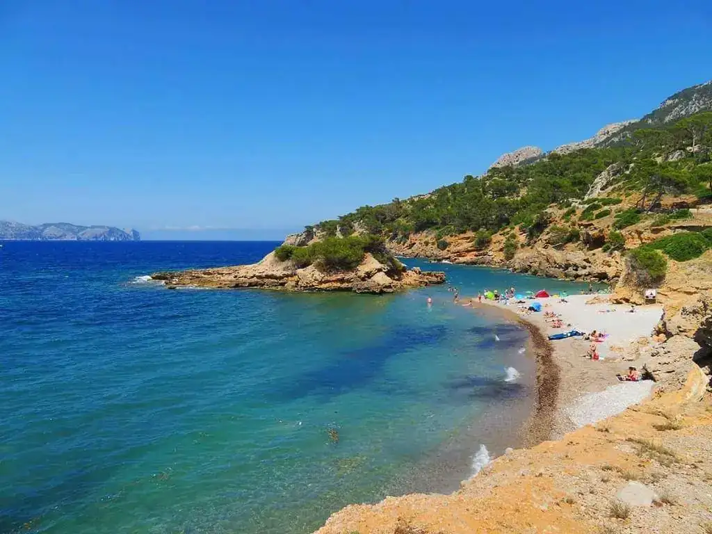 Alcudia _ Mallorca.webp