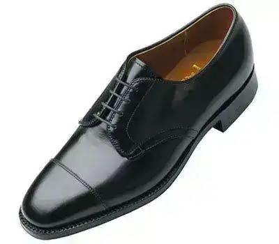 alden.2837.l(2).webp