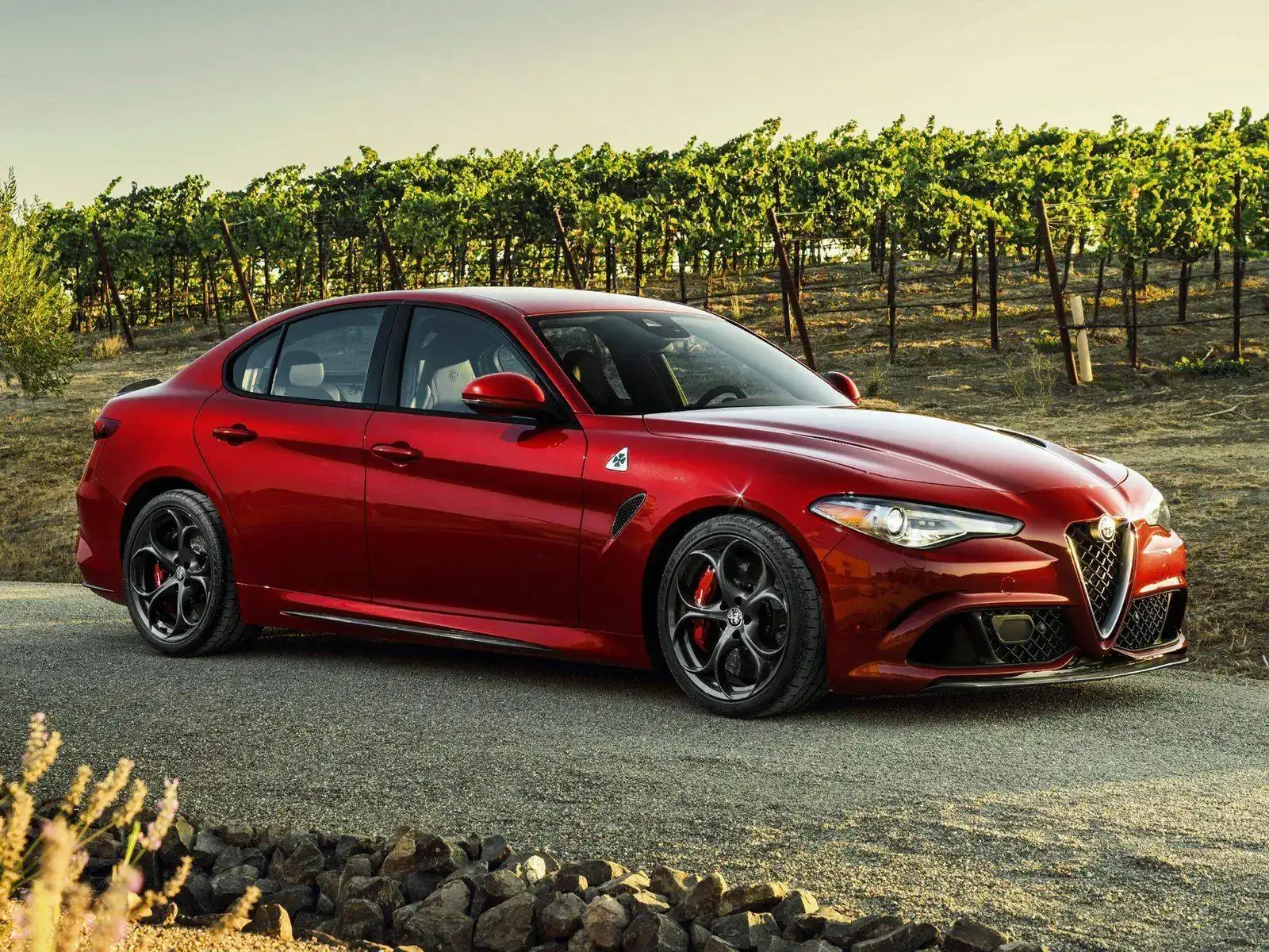 Alfa-Romeo-Giulia-Quadrifoglio-1.webp