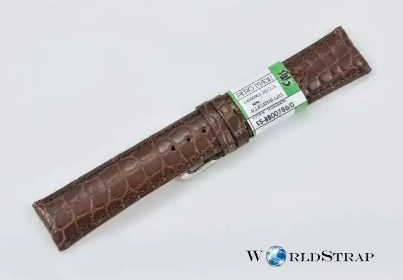 Alligatorleg2.webp