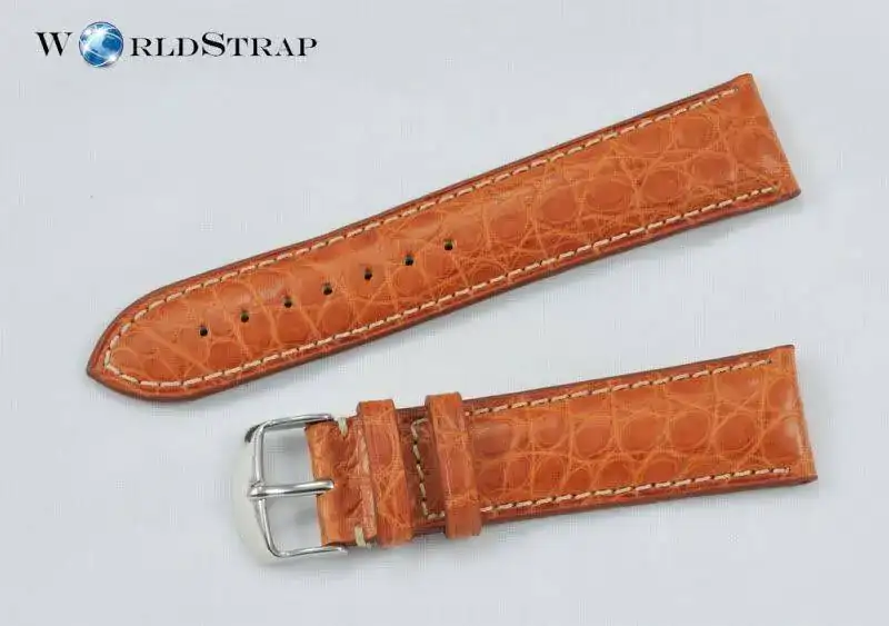 Alligatorleg4.webp