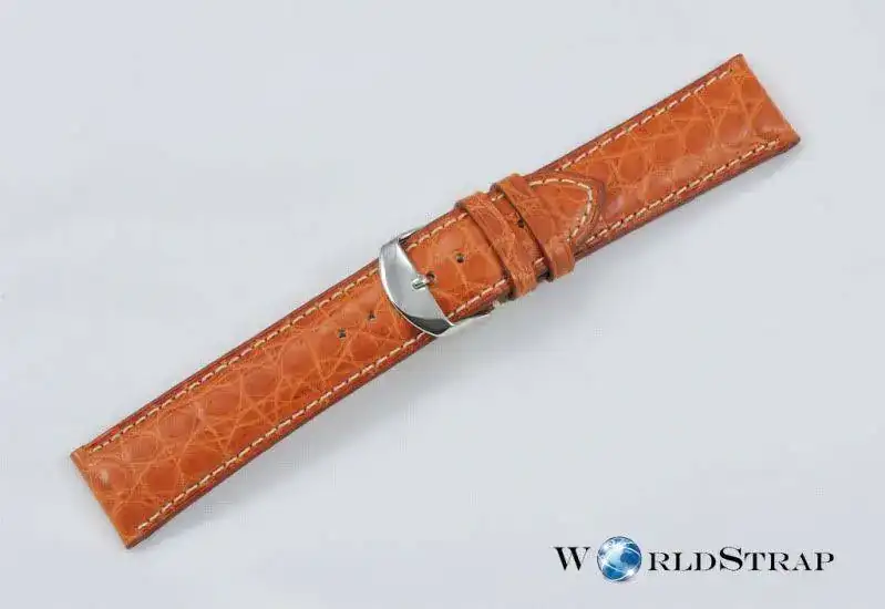 Alligatorleg7.webp