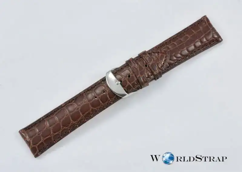 Alligatorleg8.webp