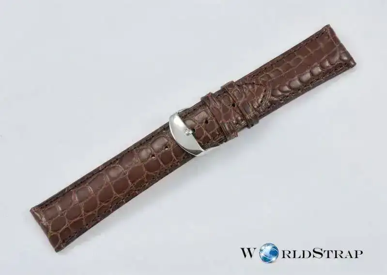 Alligatorleg8.webp