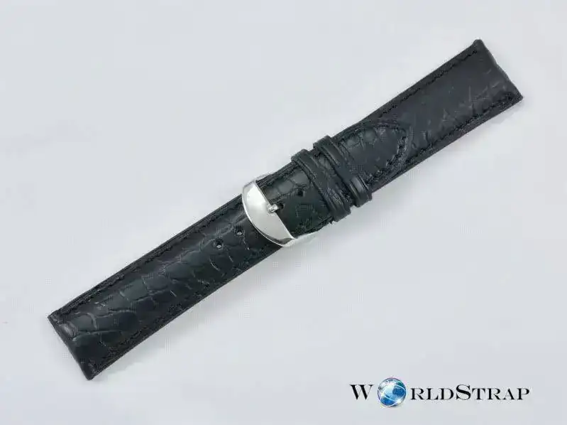 Alligatorleg9.webp