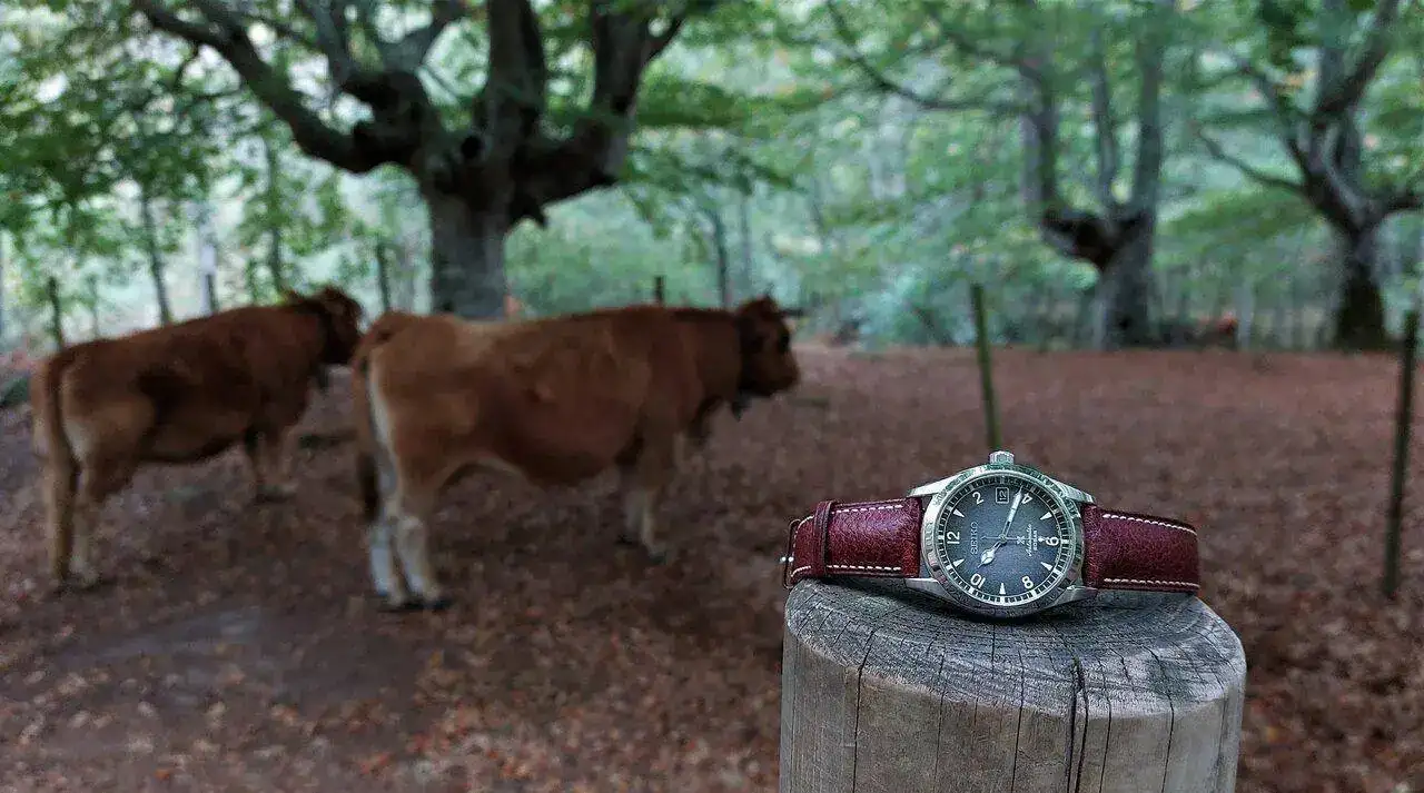 ALP20221021_094210 - co.webp