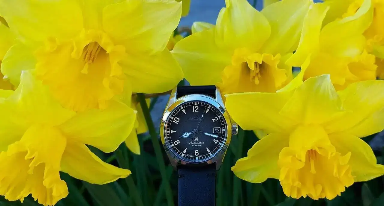 ALP20240315_094901 (2).webp