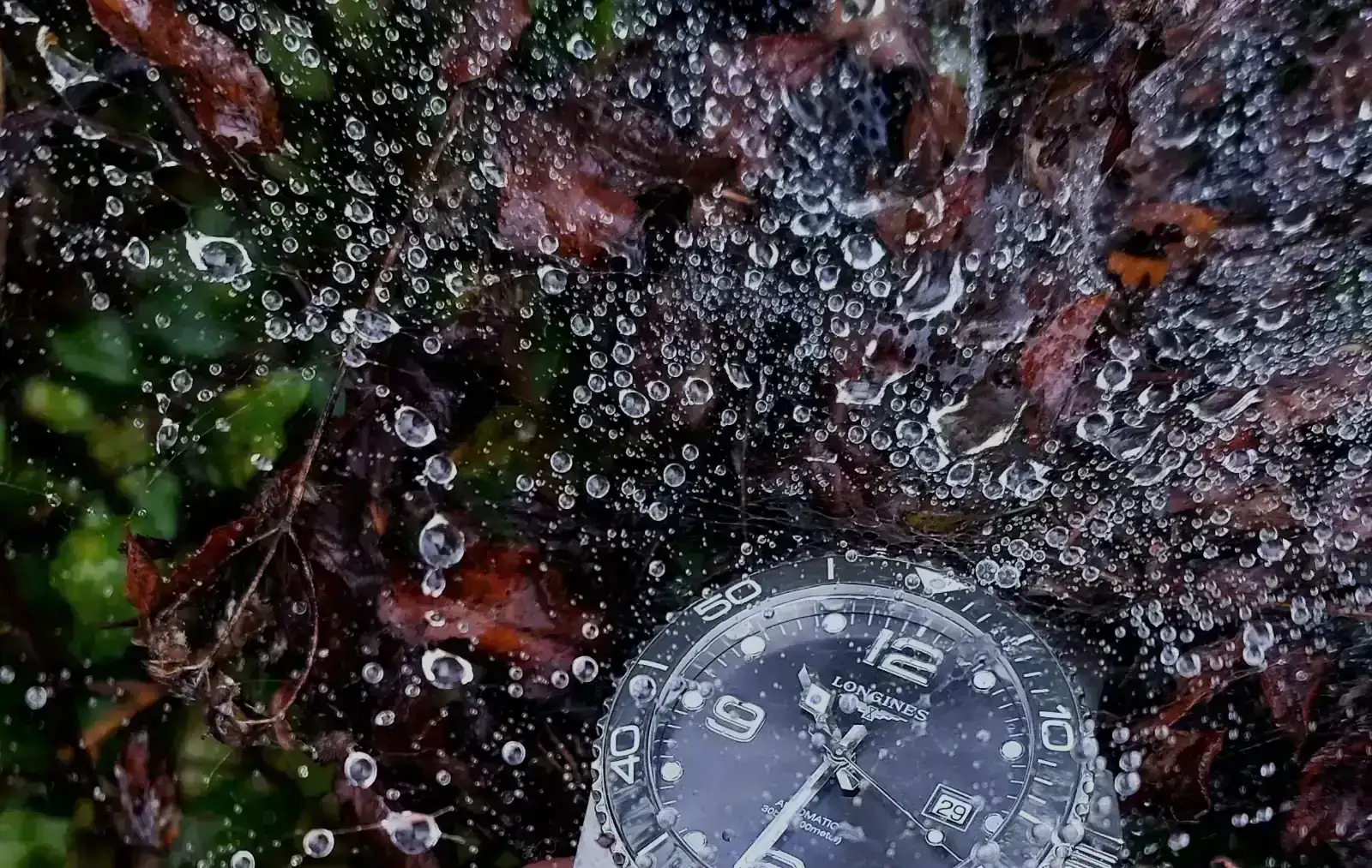 ALP20240912_104911 (2).webp