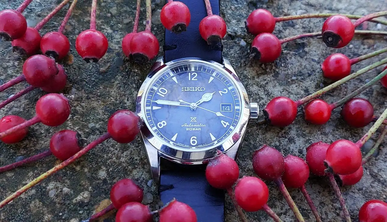 ALP20241221_095434 (2).webp