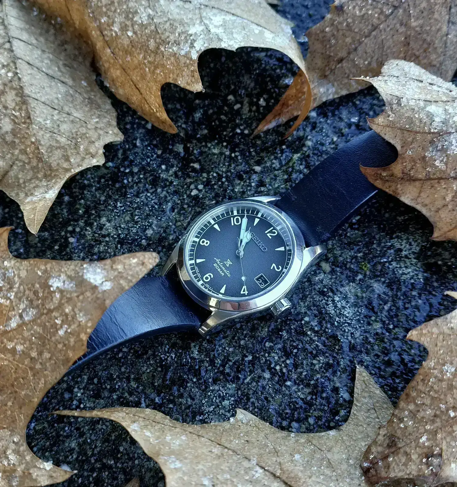 ALP20251225_102557 (1).webp