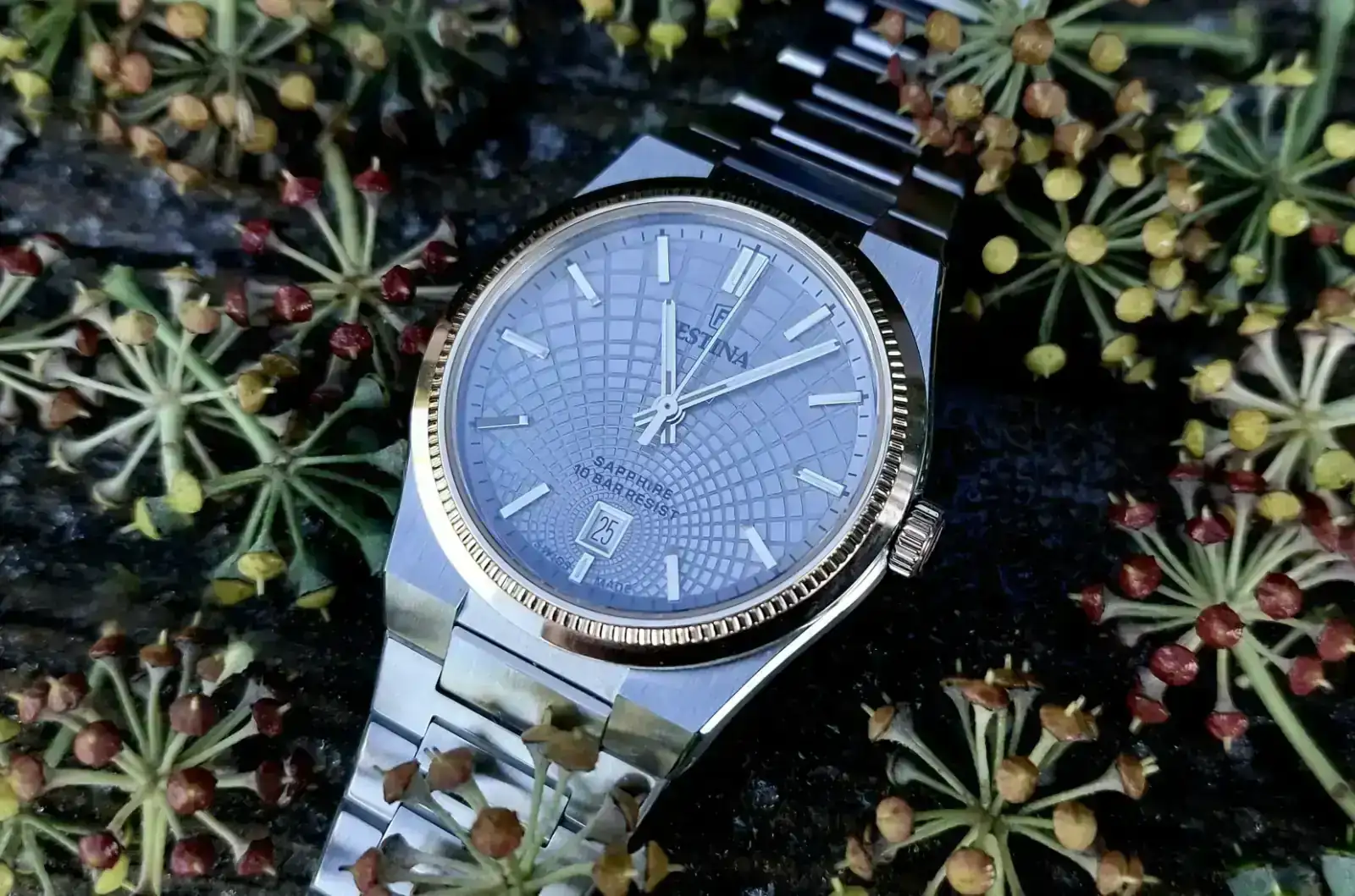 ALP20251225_102557 (2).webp