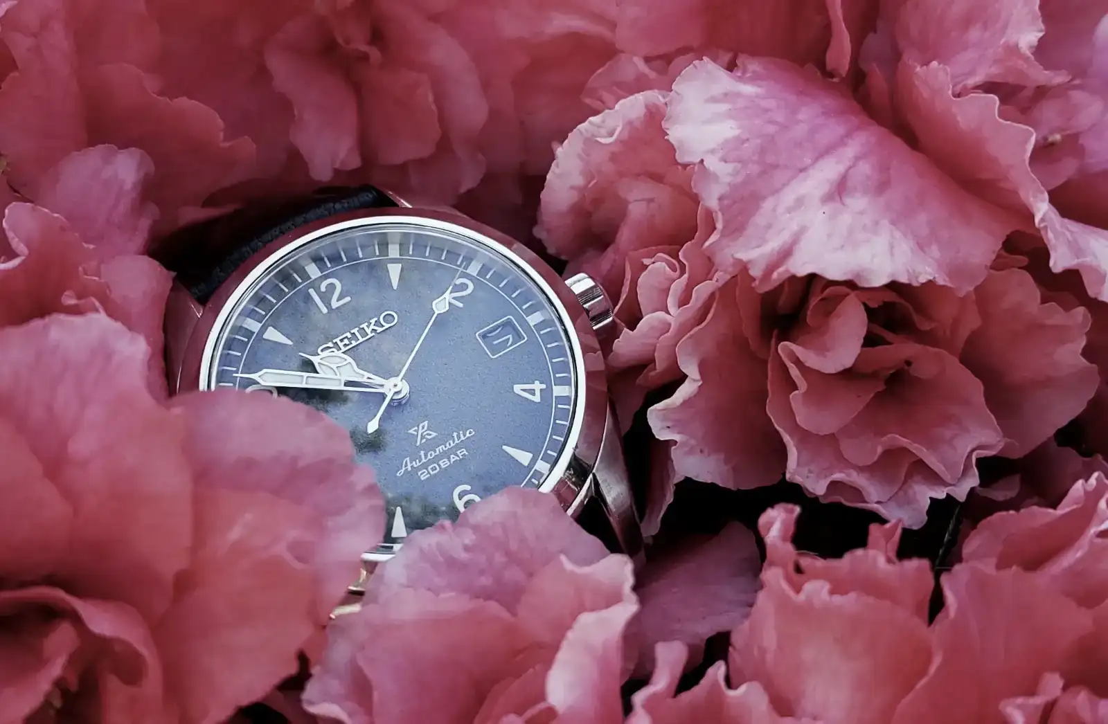 ALP20260319_105107 (1).webp