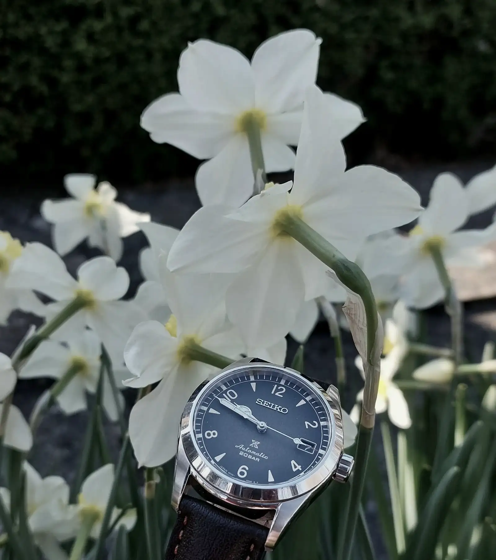 ALP20260319_105107 (2).webp