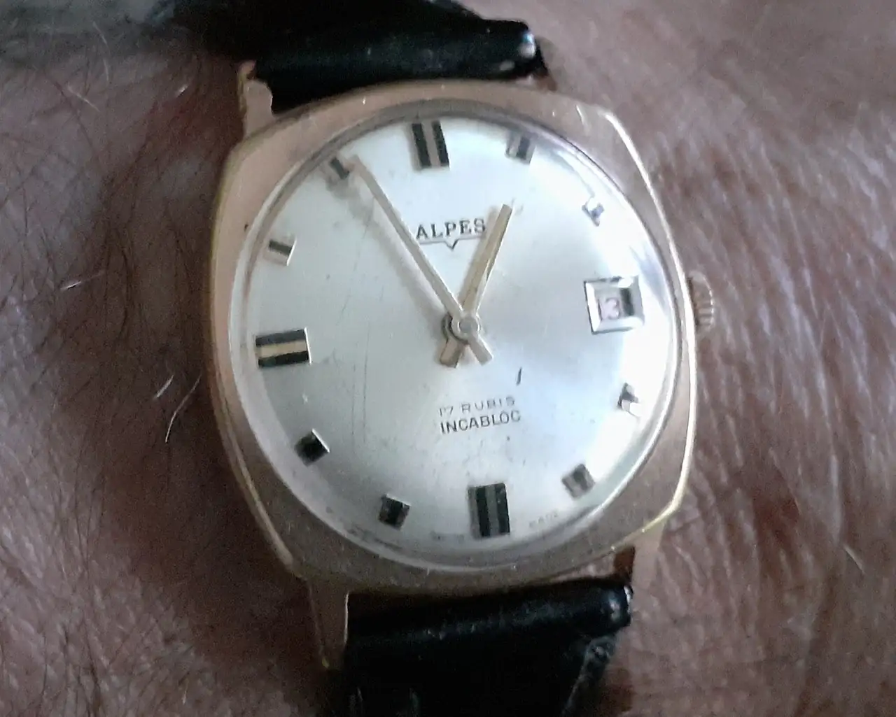 alpes.webp