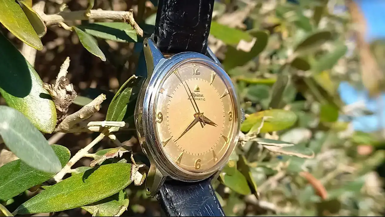 Alpina esfera 1.webp