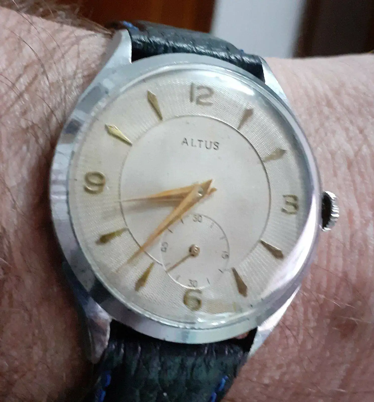 Altus.webp
