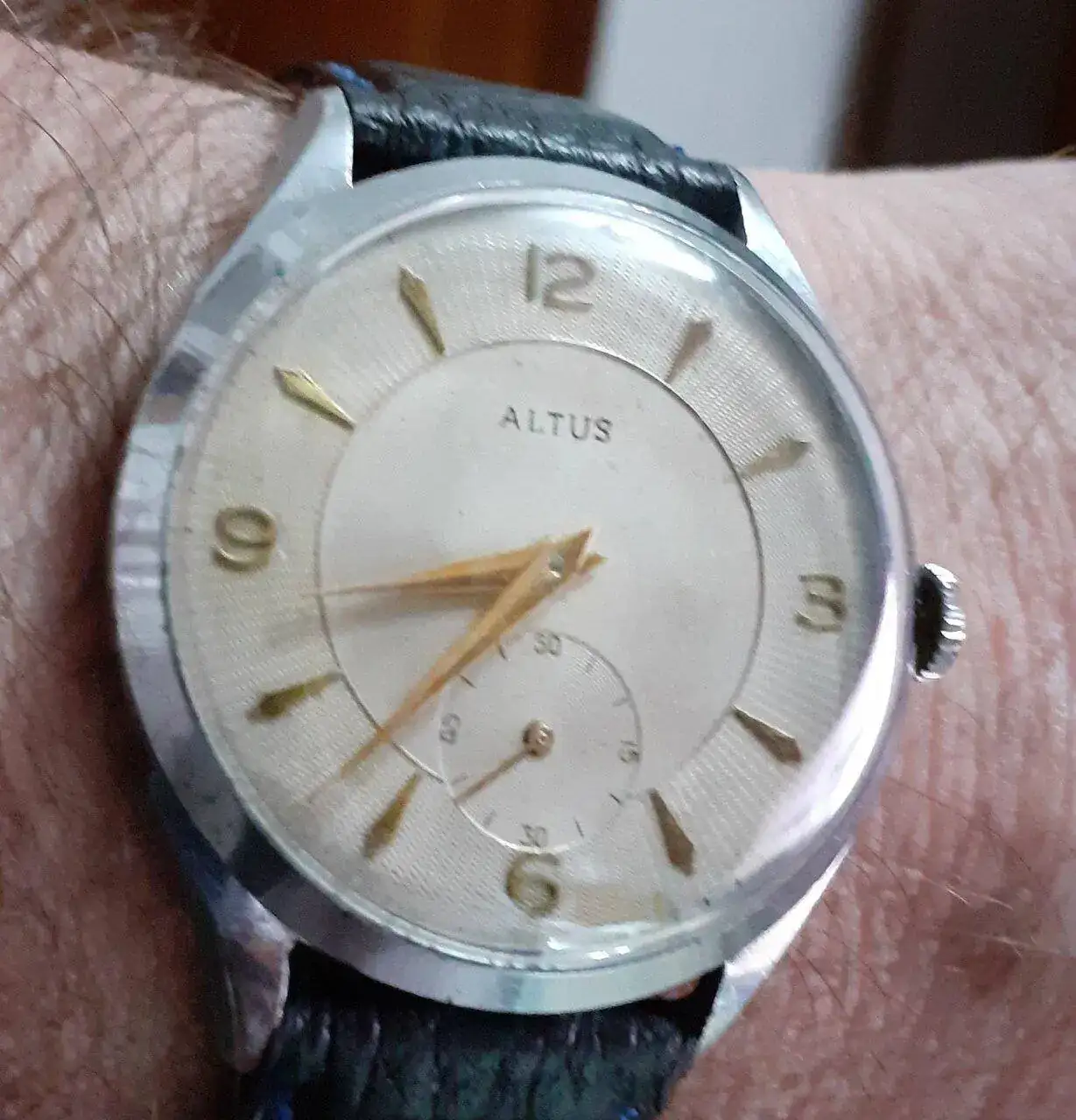 Altus.webp