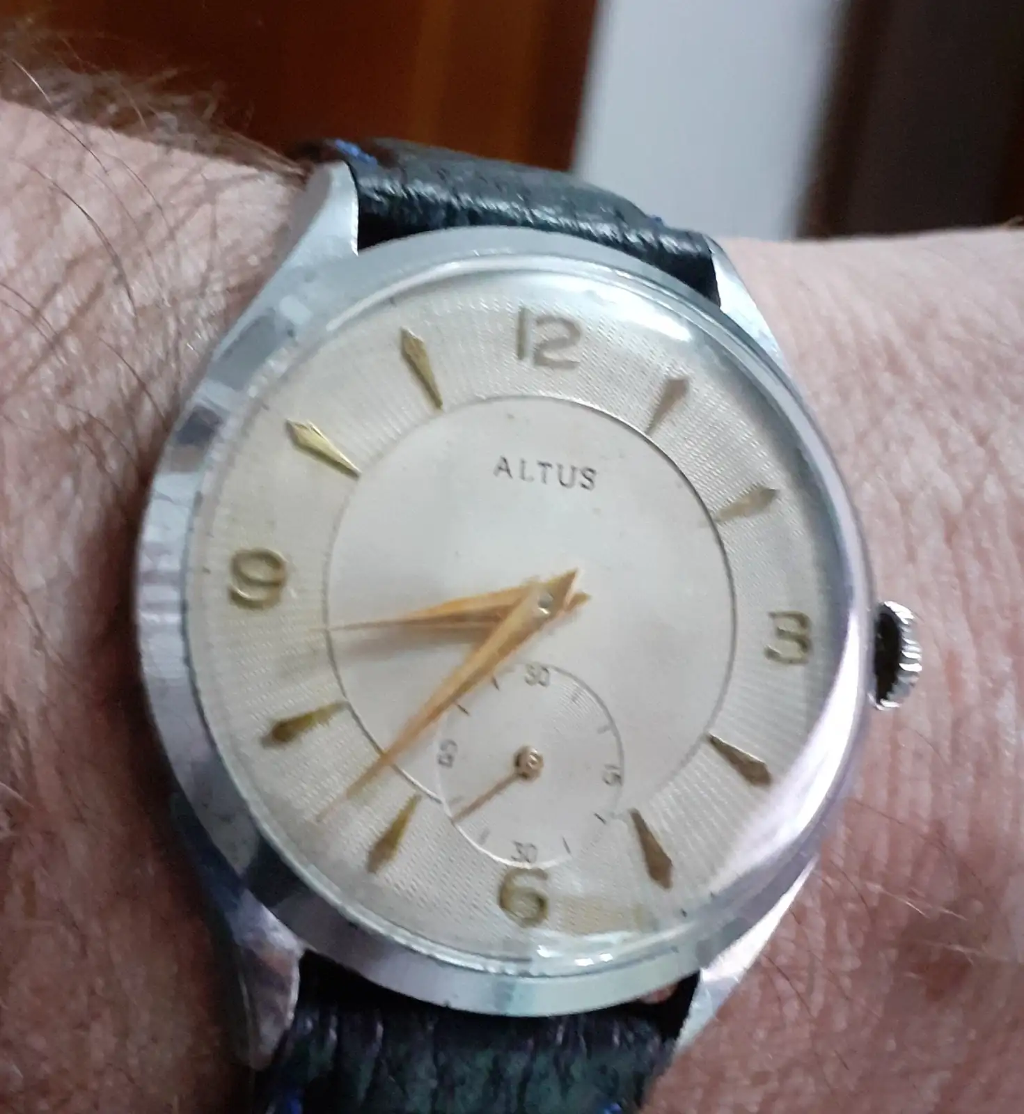 Altus.webp