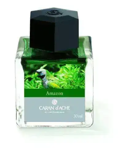 AMAZON.webp