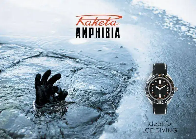 amphib10.webp