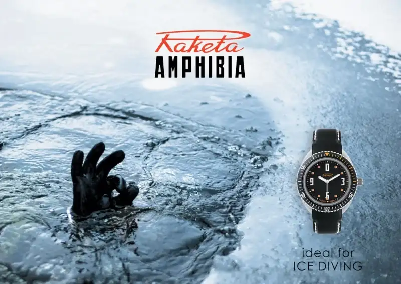 amphib10.webp