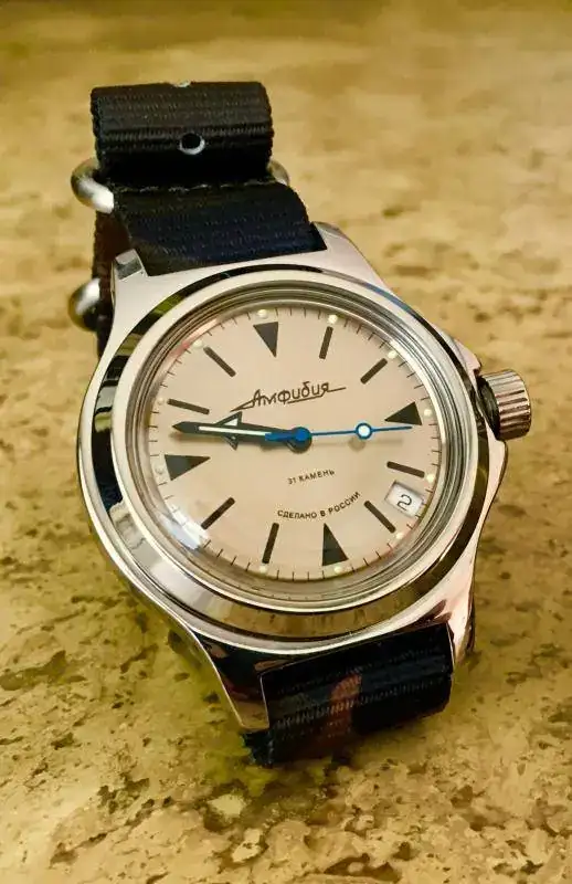 Amphibia 120 b.webp