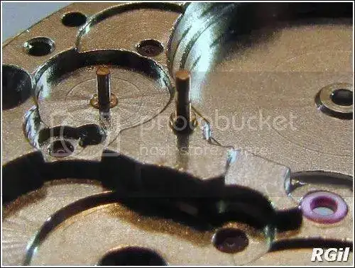 Amphibia%202016%2012_zpsahyrkr8f.webp