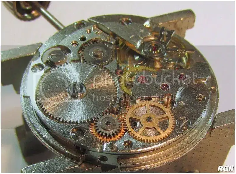 Amphibia%202016%20135_zps6lmyosts.webp