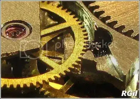 Amphibia%202016%20155_zpsbsvr4idn.webp
