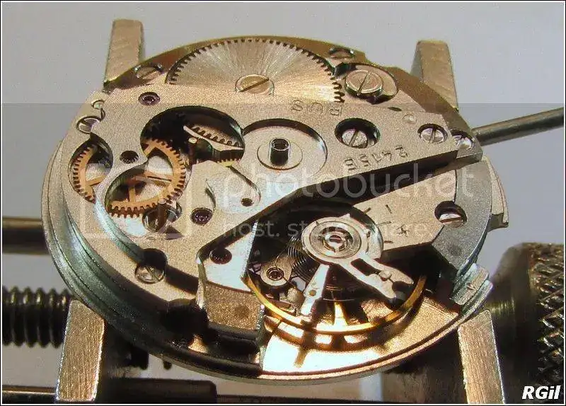 Amphibia%202016%20162_zpsiizeghxs.webp