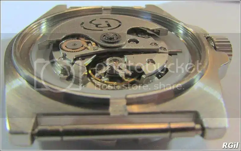Amphibia%202016%20221_zpsijgsfwqu.webp