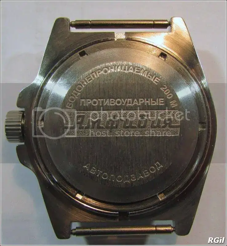 Amphibia%202016%20231_zpsvafksfaa.webp