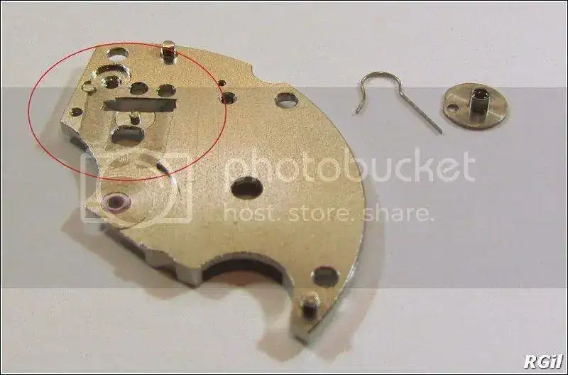 Amphibia%202016%2037_zpsr8e2iozi.webp