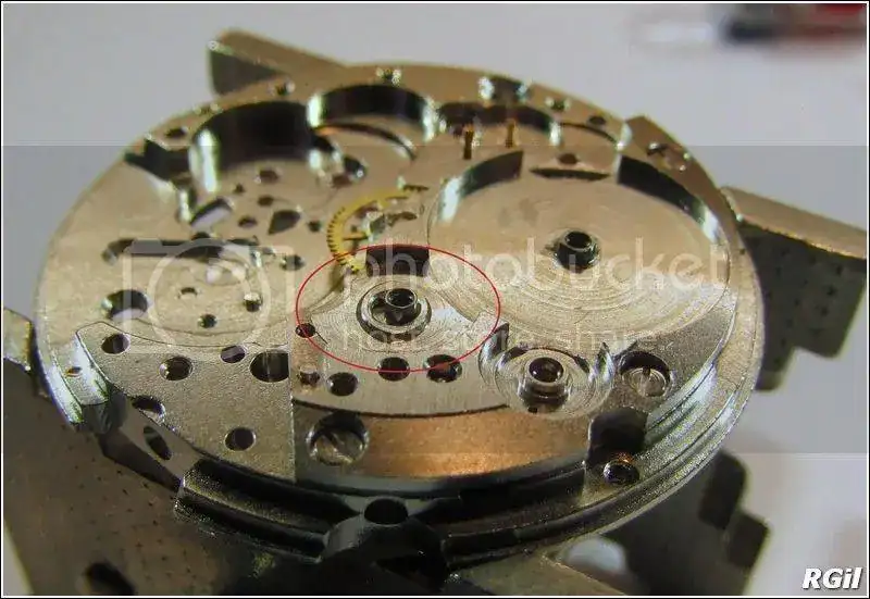 Amphibia%202016%2044_zpscp025qz7.webp