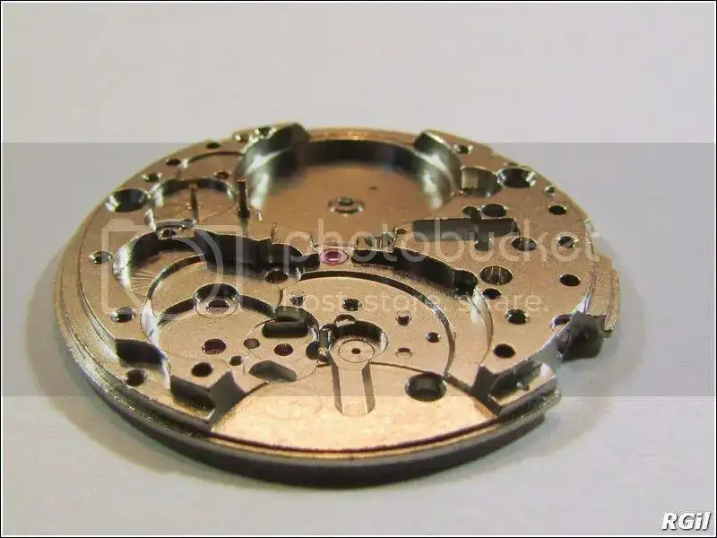 Amphibia%202016%206_zpssqsra9em.webp
