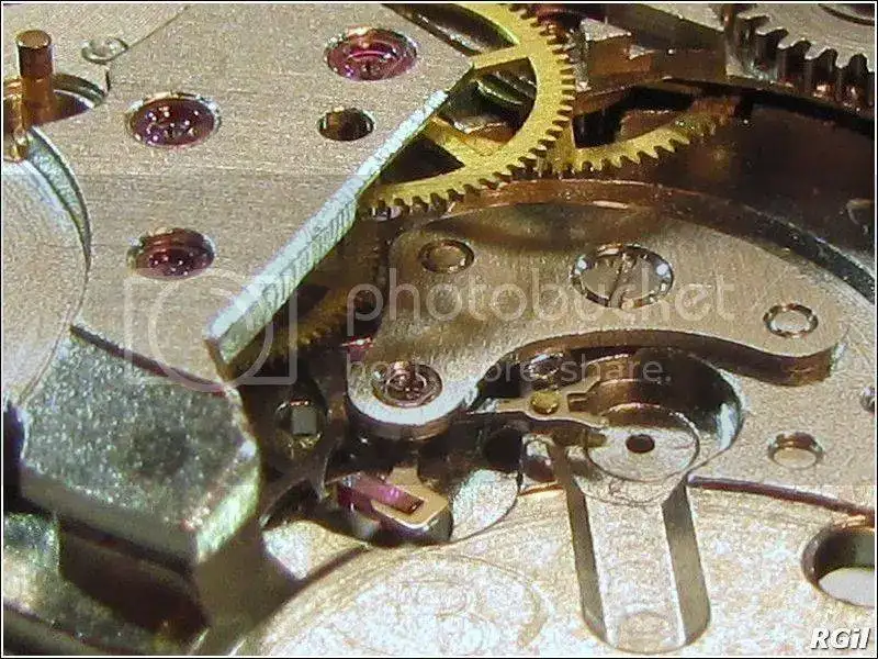 Amphibia%202016%2083_zpsbdt8eb7d.webp