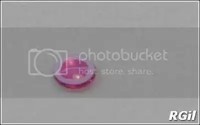 Amphibia%202016%2097_zpsxiiavfpn.webp