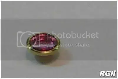 Amphibia%202016%2098_zpsqjmev7bo.webp