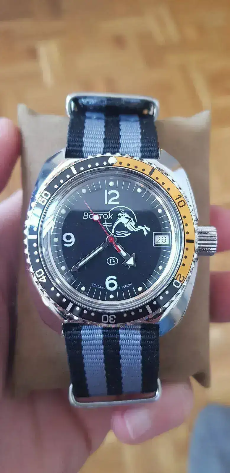 amphibia 71 N1.jpg
