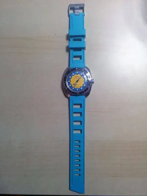 AMPHIBIA-SE-RE-blau0.webp