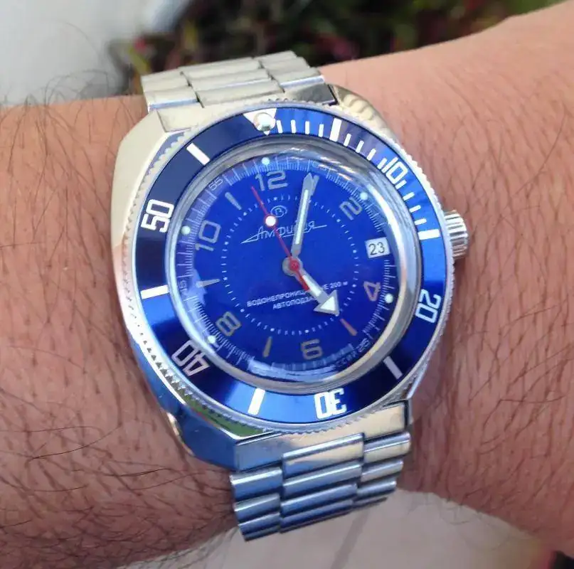 Amphibia Vostok 3.webp