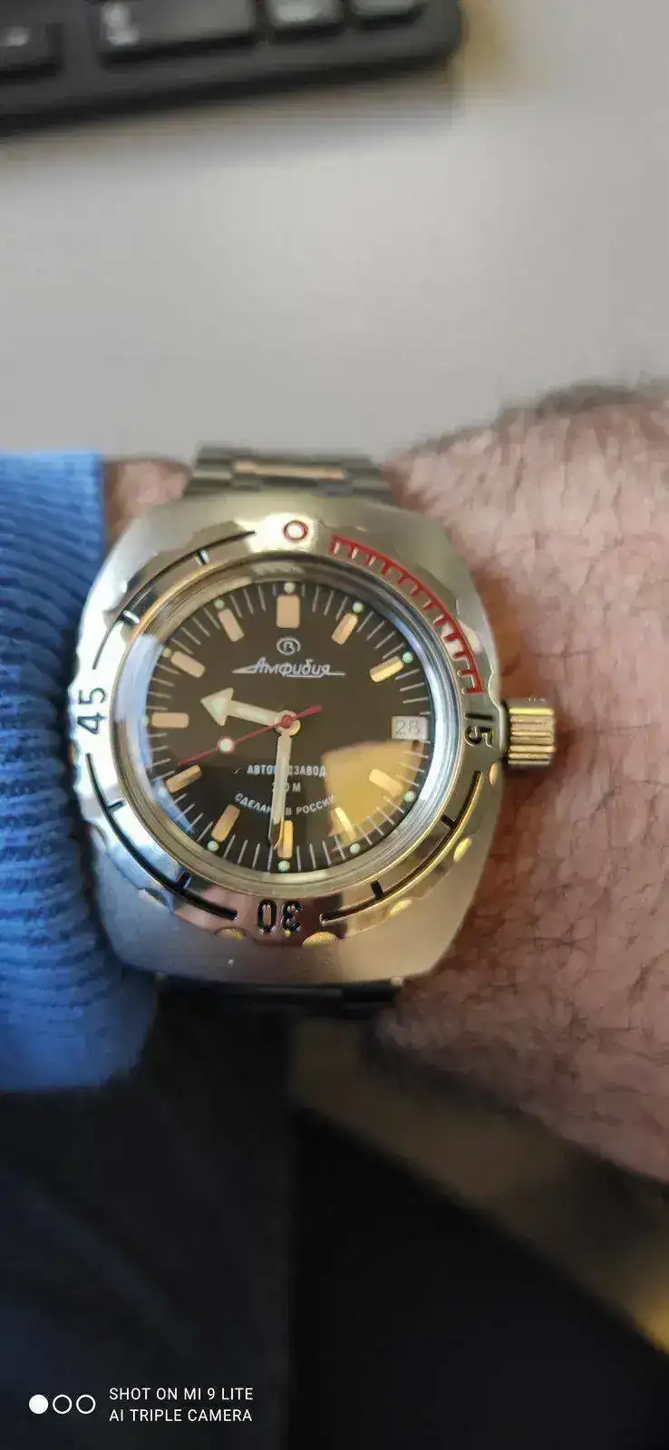 amphibia1967.webp
