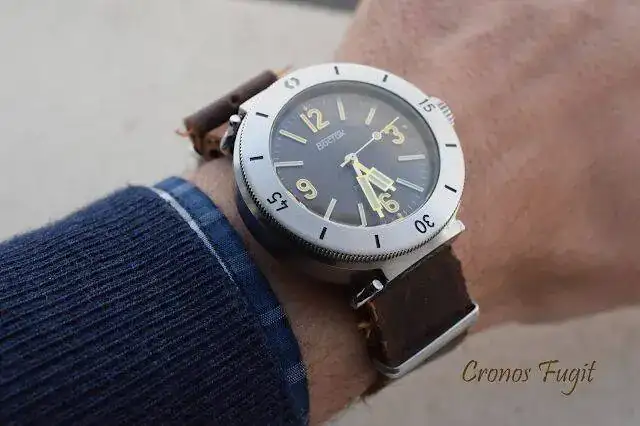 amphibia3001.webp