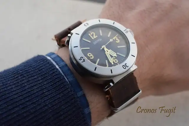 amphibia3001.webp