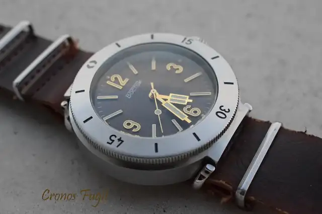 amphibia3002.webp