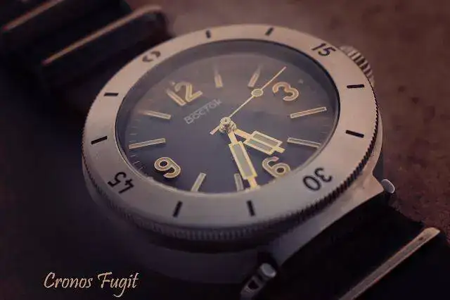 amphibia3003.webp